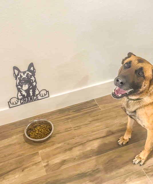 Custom Pup Metal Art – Belgian Malinois