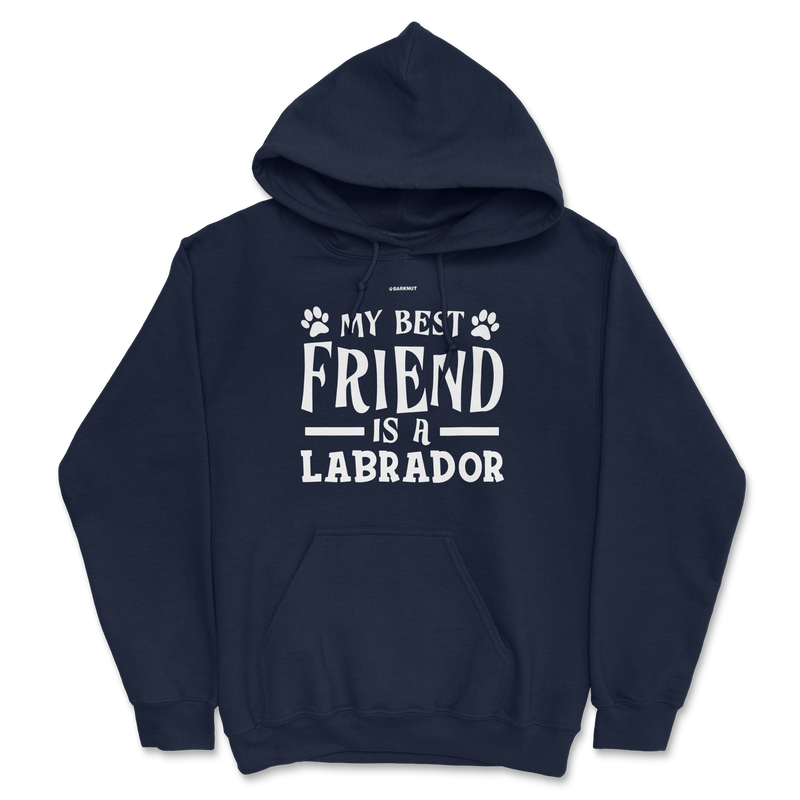 Load image into Gallery viewer, My Best Friend Is A Labrador Hoodie
