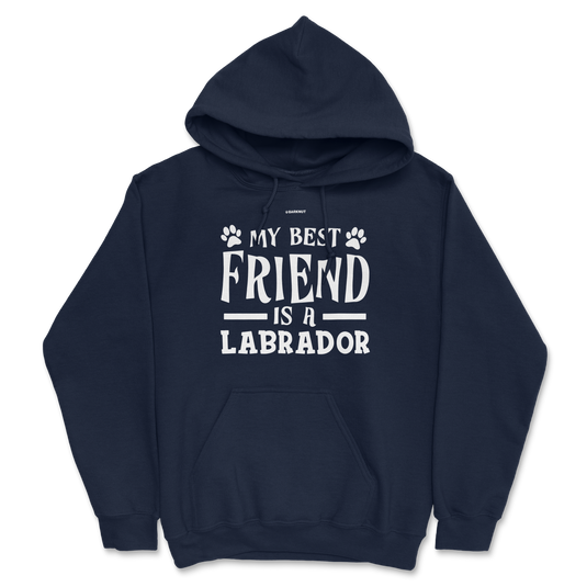 My Best Friend Is A Labrador Hoodie