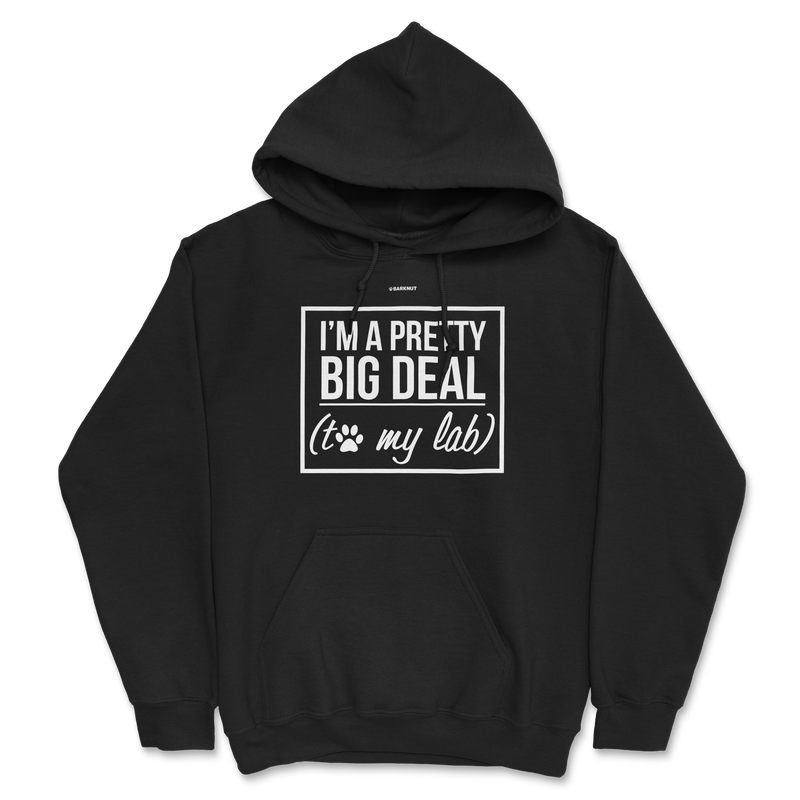 Load image into Gallery viewer, I&#39;m A Pretty Big Deal To My Lab Hoodie
