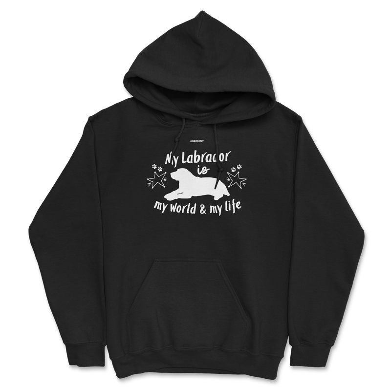 Load image into Gallery viewer, My Labrador Is My World And My Life Hoodie
