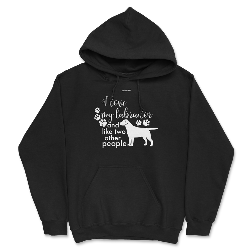 Load image into Gallery viewer, I Love My Labrador And Like Two Other People Hoodie
