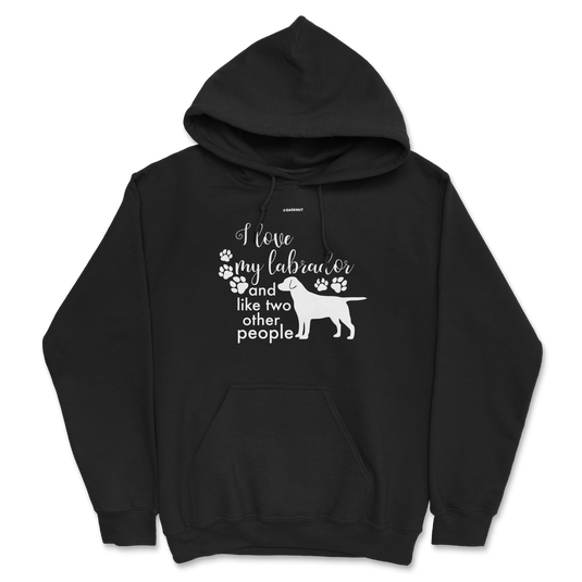 I Love My Labrador And Like Two Other People Hoodie