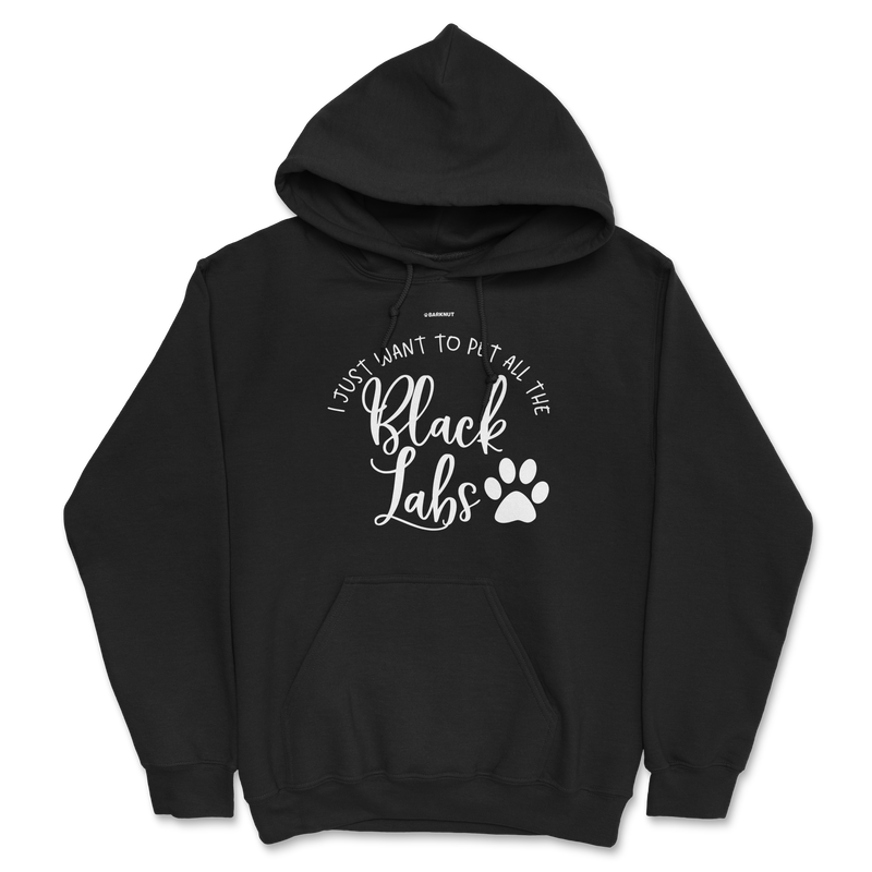 Load image into Gallery viewer, I Just Want To Pet All The Black Labs Hoodie
