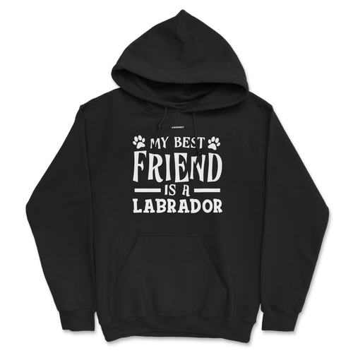 My Best Friend Is A Labrador Hoodie