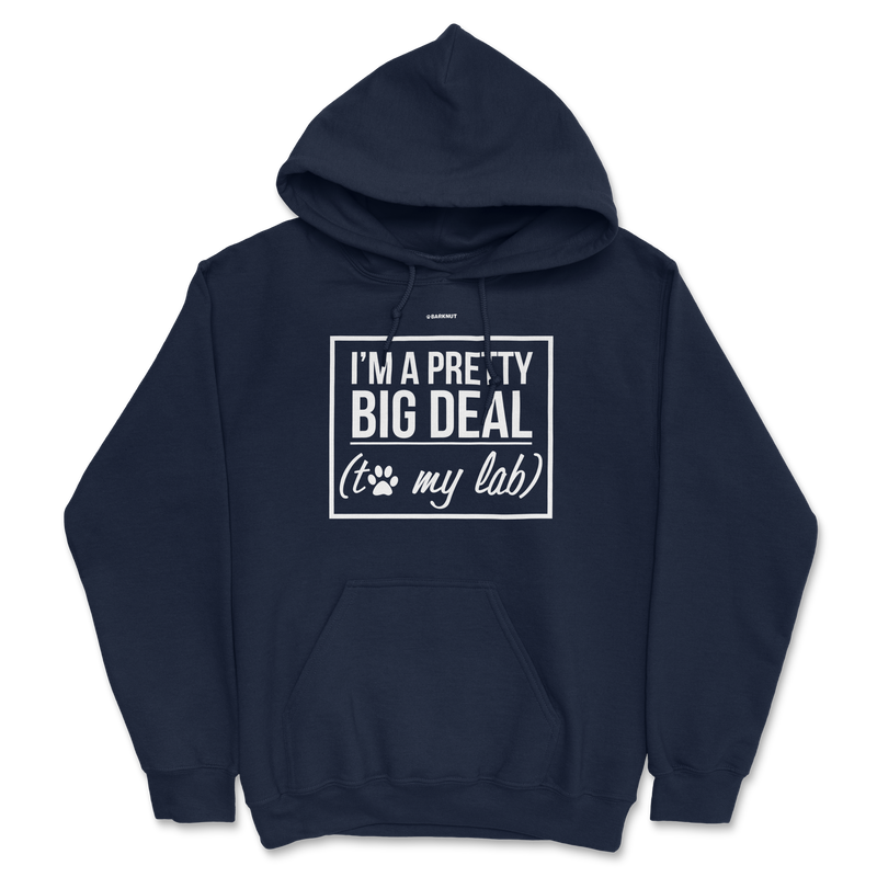 Load image into Gallery viewer, I&#39;m A Pretty Big Deal To My Lab Hoodie
