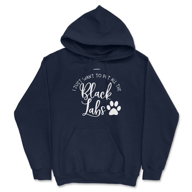 Load image into Gallery viewer, I Just Want To Pet All The Black Labs Hoodie
